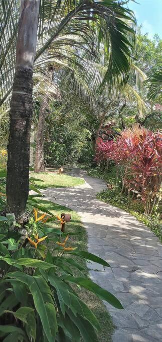 Imbassai - Casa Alto Padrao Completa - Condominio Fechado - A2B1 Eksteriør billede