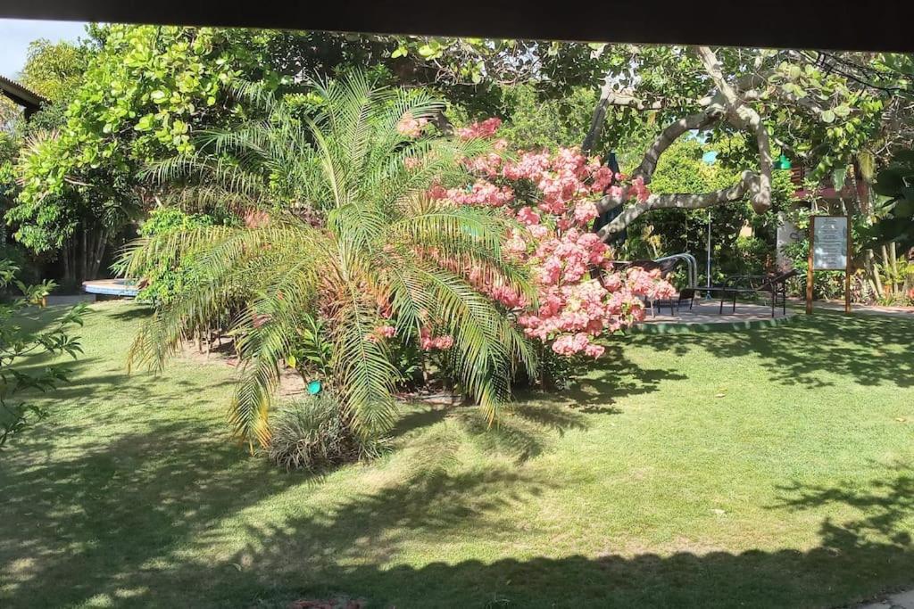 Imbassai - Casa Alto Padrao Completa - Condominio Fechado - A2B1 Eksteriør billede